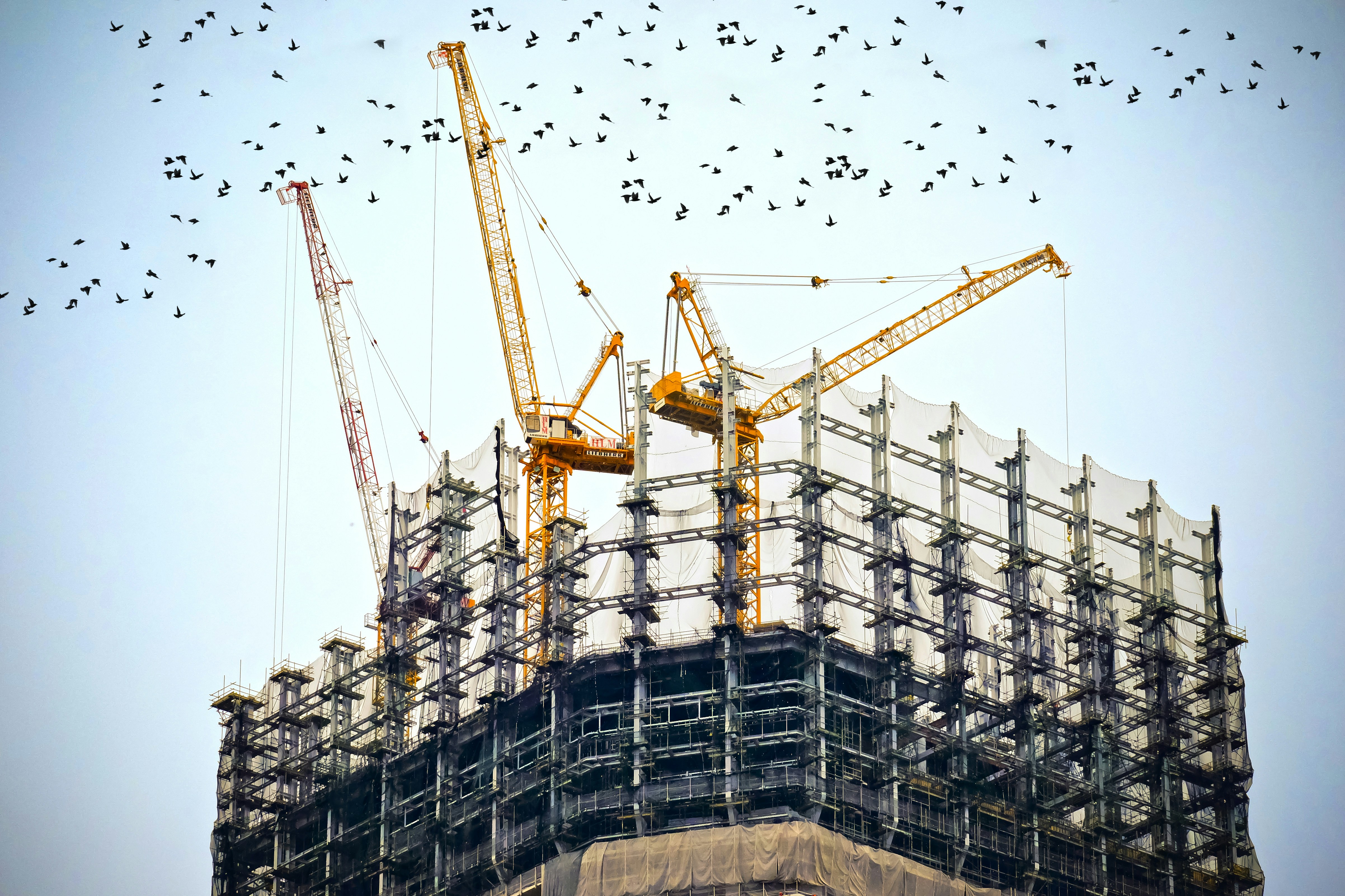 Building cranes